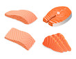 red fish salmon for sushi food menu vector illustration Isolated white background.