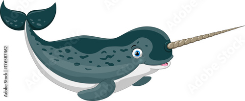 Vector illustration of cartoon narwhal isolated on white background Tableau sur Toile