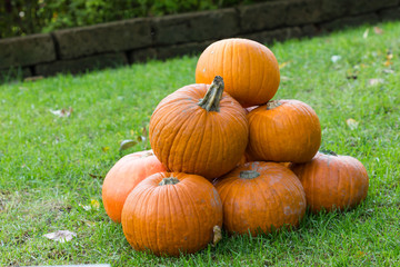 Orange pumpkins for Halloween Party