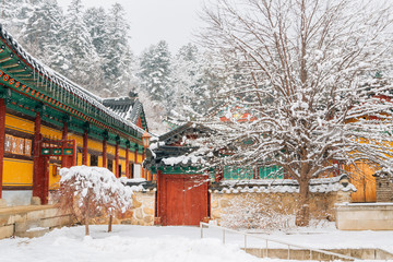 Wall Mural - Asian temple Odaesan Woljeongsa with snow in Korea