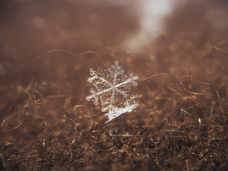 Snowflake big on the red background