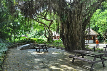 Poster - Bench in the Park in Barbados