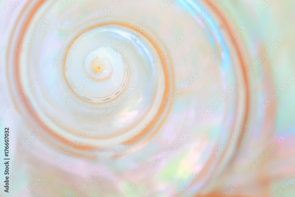 Mother of pearl sea shell close up background Stock Photo | Adobe Stock