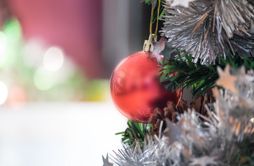 Christmas red ornametn ball decorate on pine tree copy space blur background for Xmas New Year festival.