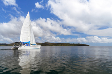 Sticker - Luxury catamaran in the bay