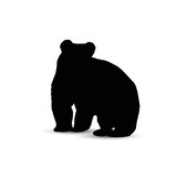 Fototapeta Zwierzęta - Silhouette of standing brown  bear.