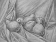 © strekalova - Still Life with apple and pear – pencil drawing