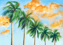 Watercolor Illustration Of Palms Against Blue Sky With Orange Clouds At The Sunset