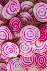 Chioggia beets