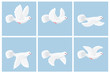 Cartoon flying dove animation sprite sheet