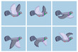 Cartoon flying pigeon animation sprite sheet
