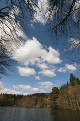 Wall Mural - View across the lower loch, Bowwhill, Selkirk