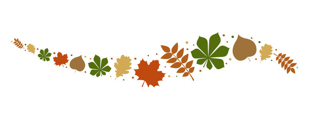Wall Mural - autumnal leaves - concept of banner. vector.