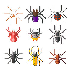 Wall Mural - Spider web silhouette arachnid fear graphic flat scary animal design nature insect danger horror halloween vector icon.