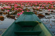Green boat and the pond of pink water lily