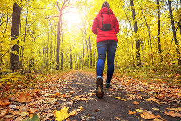 Young girl with a backpack in jeans and sneakers on his feet, walks through the fall leaves on the road in the woods in the sunshine outdoors