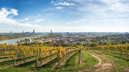 Wien Panorama über Weinberge 