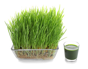 Wall Mural - Shot of wheat grass drink on white background