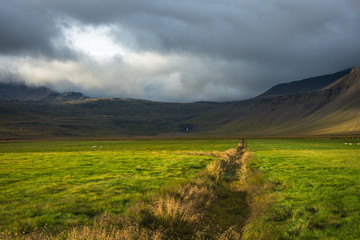 Wall Mural - Icelandic landscapes