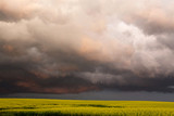 Fototapeta Tęcza - Storm Clouds Canada