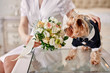 Dog costume groom smelling bouquet in hands of bride