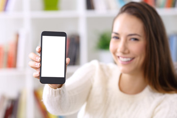 Wall Mural - Woman wearing sweater showing smart phone screen