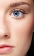 Closeup macro portrait of female face and blue eye. Human woman half-face  with day beauty makeup. Girl with perfect skin and freckles