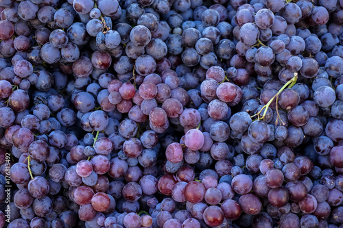Dekoracja na wymiar  pale-pyszne-swieze-soczyste-czerwone-winogrona-bezpestkowe-tlo-na-lokalnym-rynku-owocow-miasta