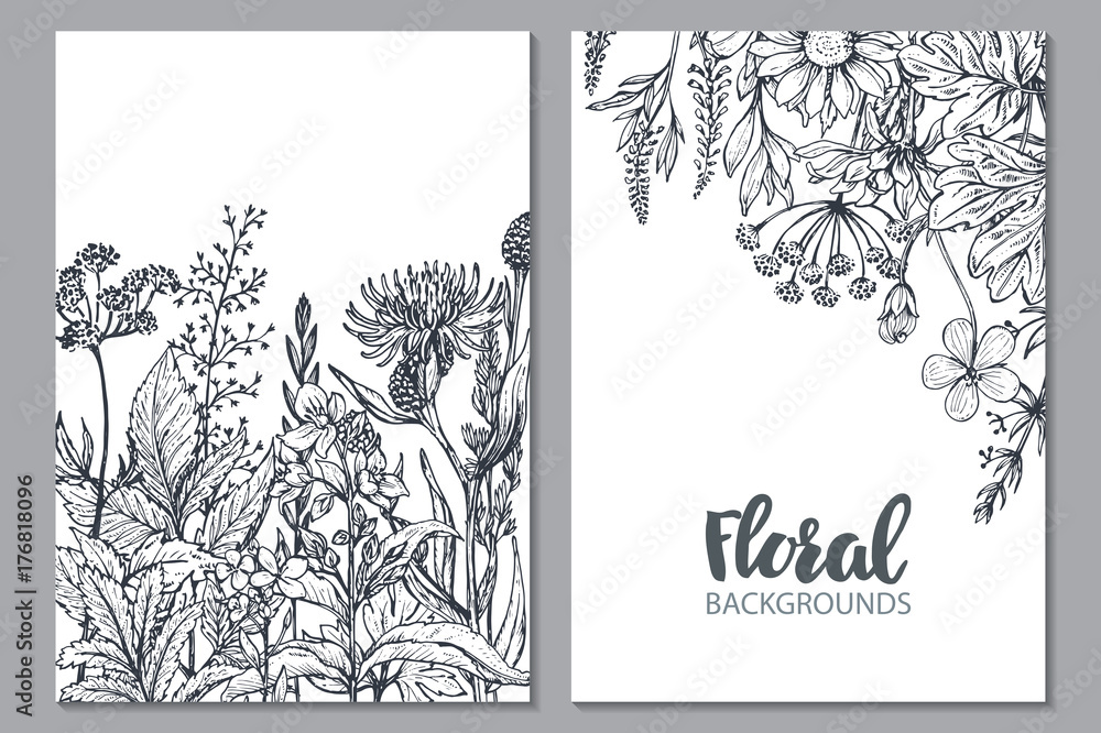 Floral backgrounds with hand drawn herbs and wildflowers. - obrazy, fototapety, plakaty 