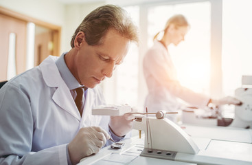 Wall Mural - laboratory scientists working