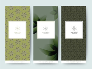 Branding Packaging tropical plant leaf summer pattern background, for spa resort luxury hotel, logo banner voucher, fabric pattern, organic texture. vector illustration.