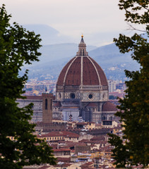 Canvas Print - Il Duomo Through the Trees