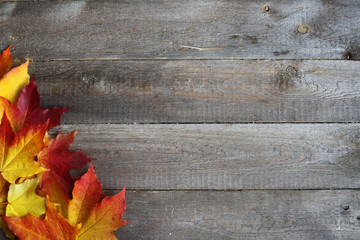 Autumn leaves frame on wooden background