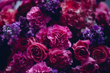Pink & Purple Flowers