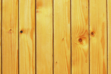 Wall Mural - spruce plank texture on wall