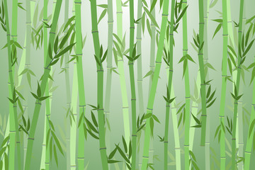  Cartoon Bamboo Forest Landscape Background. Vector