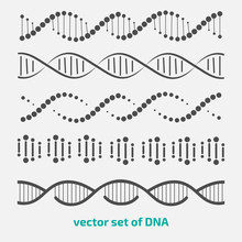 Vector Set Of Elements DNA.