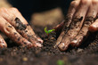 © BONNINSTUDIO/Stocksy - Woman's hands planting small vegetable in the garden.