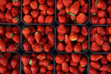 Boxes With Strawberries For Sale On The Market