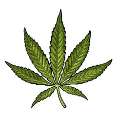 Wall Mural - Marijuana leaf. Vintage black vector engraving illustration