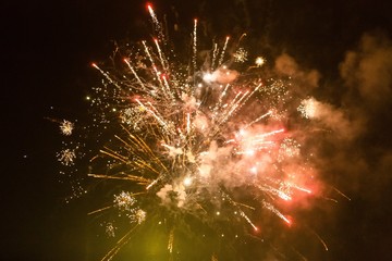 Wall Mural - Firework in the night sky.