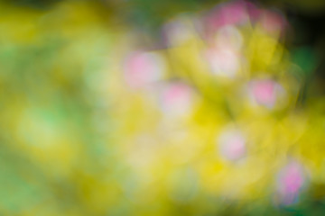 Abstract Yellow blurred background or texture.