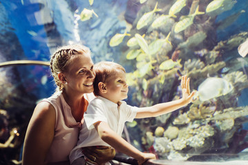 Wall Mural - Mother and son watching sea life in oceanarium