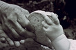 Old hand of a grandmother and a young child with a slice of bread close-up