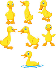 Poster - Cartoon baby duck collection set