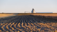 Corn Field With Grain Silo