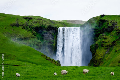Plakat Islandzki wodospad
