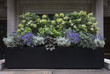 Planter Box with Purple, White, and Green Flowers in New York City