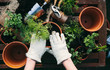 © kkgas/Stocksy - planting spring herbs into terracotta pots.