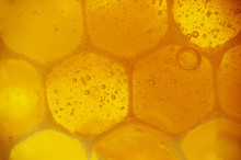 Close-up Of Honeycomb